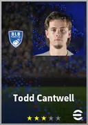 بطاقة Todd Cantwell · AMF