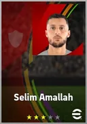 بطاقة Selim Amallah · AMF