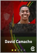 بطاقة David Camacho · RWF