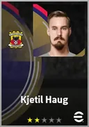 بطاقة Kjetil Haug · GK