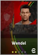 Wendel CF card