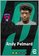 بطاقة Andy Pelmard · CB