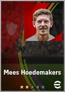Mees Hoedemakers DMF card