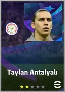 Taylan Antalyalı DMF card