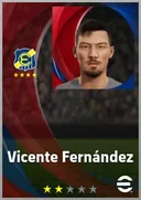 Vicente Fernández LB card