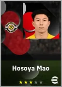 Hosoya Mao CF card