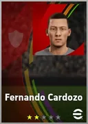 بطاقة Fernando Cardozo · RWF