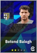 Botond Balogh CB card
