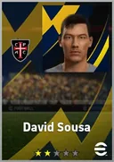 بطاقة David Sousa · CB
