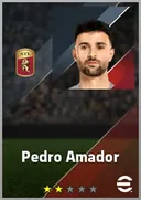 Pedro Amador LB card