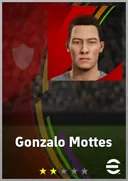 Gonzalo Mottes CB card