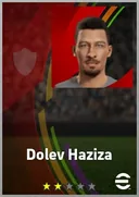Dolev Haziza LMF card