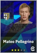 Mateo Pellegrino CF card