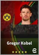 Gregor Kobel GK card