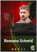 Romano Schmid LWF card