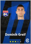 Dominik Greif GK card