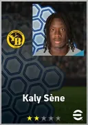 Kaly Sène CF card