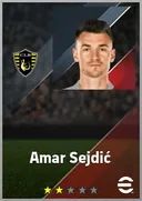 Amar Sejdić DMF card