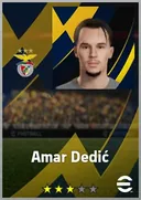 بطاقة Amar Dedić · RB