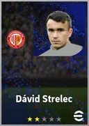 Dávid Strelec CF card