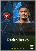Pedro Bravo DMF card