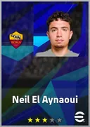 Neil El Aynaoui CMF card