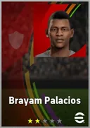 بطاقة Brayam Palacios · CB