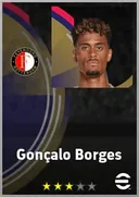 Gonçalo Borges RWF card