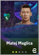 بطاقة Matej Maglica · CB