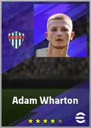 Adam Wharton DMF card