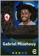 Gabriel Misehouy AMF card