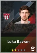Carte de Luka Gavran · GK