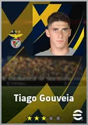 Carte de Tiago Gouveia · RWF