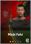 Mobi Fehr DMF card