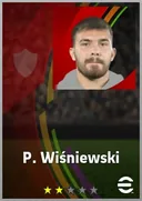 P. Wiśniewski CB card