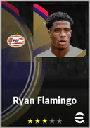 Carte de Ryan Flamingo · CB