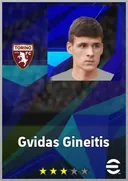 Gvidas Gineitis CMF card