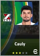 Cauly AMF card