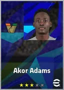Akor Adams CF card