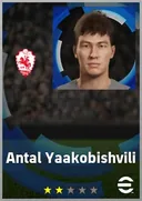 Antal Yaakobishvili CB card