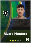 بطاقة Álvaro Montoro · AMF