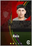 Reis LWF card