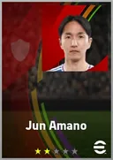 Carte de Jun Amano · AMF