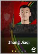 بطاقة Zhang Jiaqi · DMF