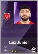 Luiz Junior DMF card