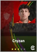 Cryzan CF card