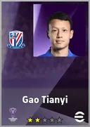 Gao Tianyi CMF card
