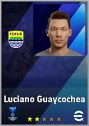 Carte de Luciano Guaycochea · AMF