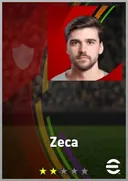 Zeca CF card
