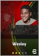 Wesley LWF card